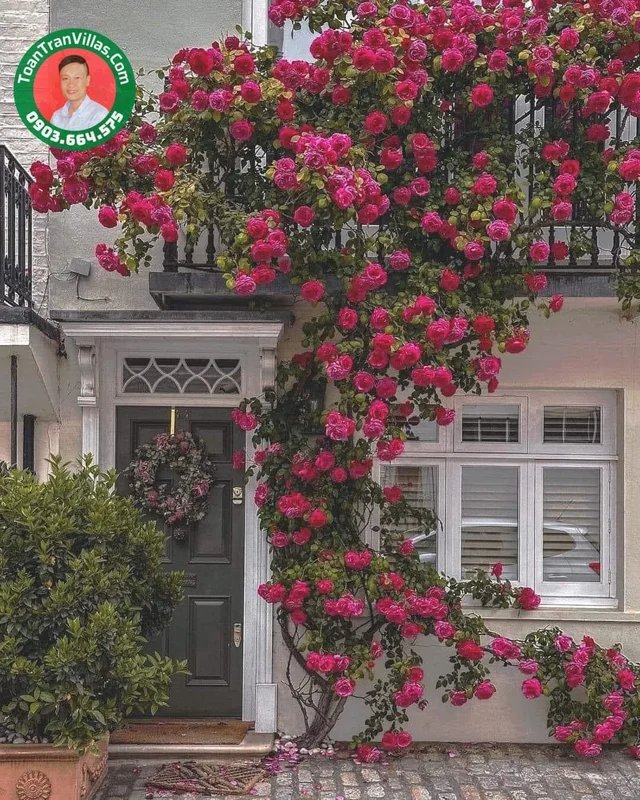 Biệt thự song lập · sân vườn · 372 m² · Garden Homes Thủ Đức