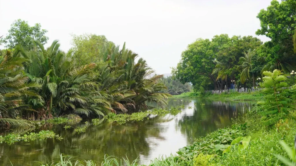 Biệt thự song lập · thang máy · 250 m² · Jamona Home Resort